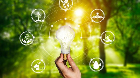 India’s Commitment to Clean Energy: Infrastructure, Laws and Regulations