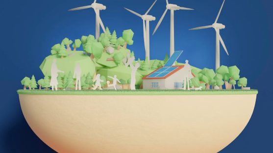 Renewable Energy and Biodiversity – Legal Framework