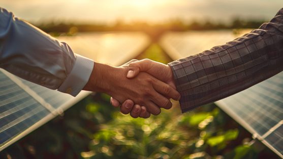 Two business professionals shaking hands in a solar farm at sunset, symbolizing a sustainable business agreement and renewable energy partnership.