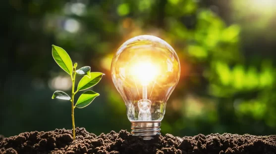 ESG Compliance in Renewable Energy Investments: A Legal Perspective