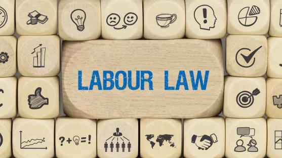 Labour Law Essentials: An Introduction to Employment Bonds in India