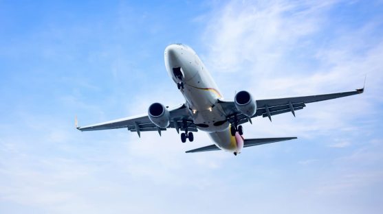 Rules of Statutory Interpretation and the Airport Economic Regulatory Authority