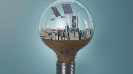 Energy Nexus and Effective Decision Making