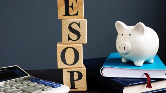 ESOPs and SARs: From Ownership to Appreciation