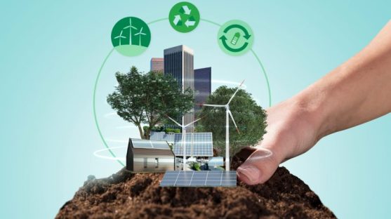 Climate Action – India’s Long-Term Low-Carbon Development Strategy